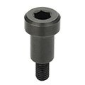 Bearing Shaft Screws