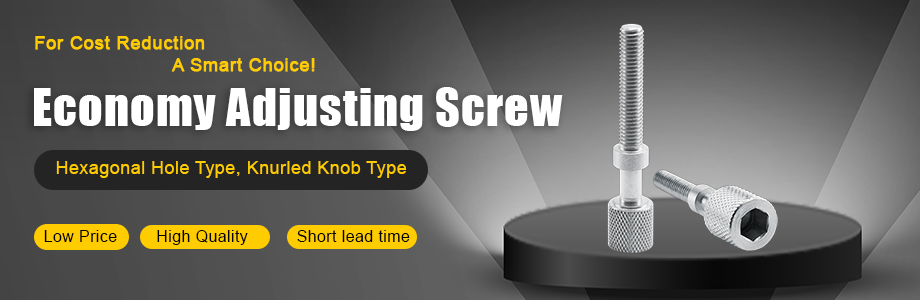 Economy Adjustment Screw