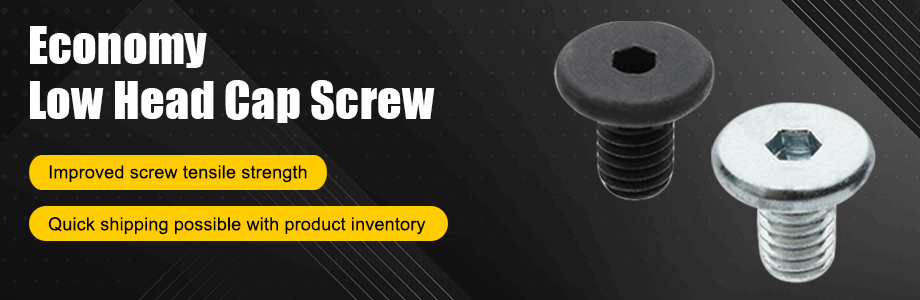 economy low head cap screw