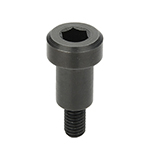 Bearing Shaft Screws
