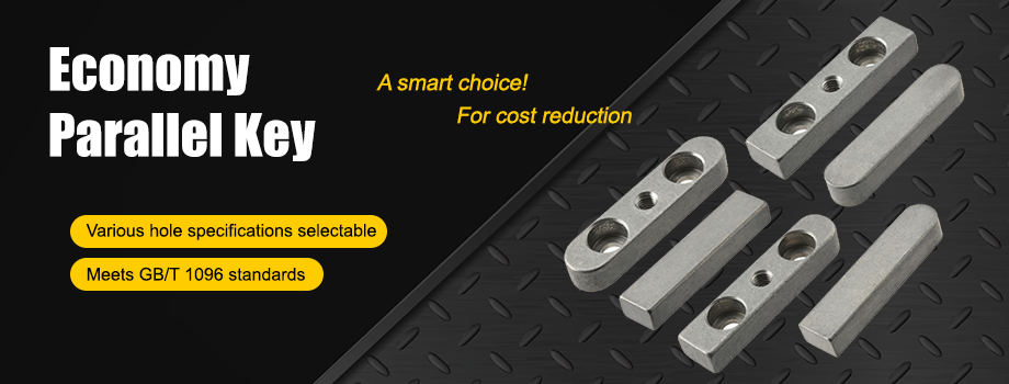 economy Economy Parallel Keys