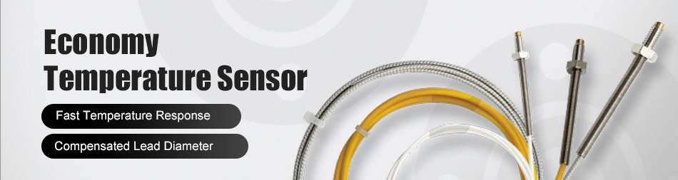 Economy Temperature Sensors